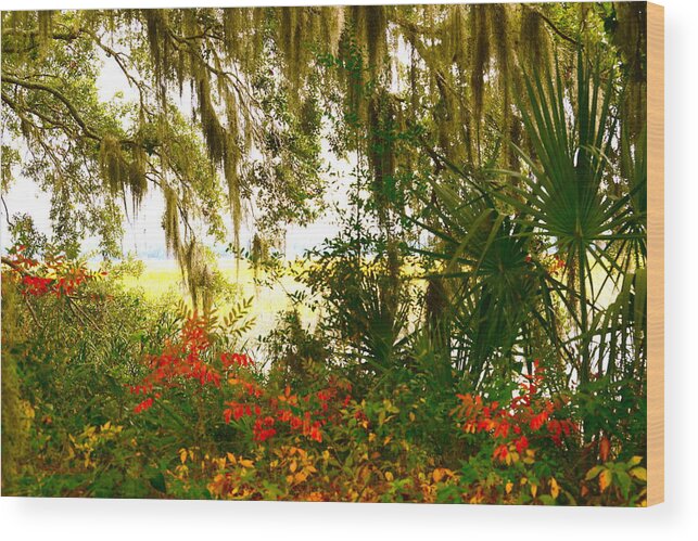 Lowcountry Images Wood Print featuring the photograph Spanish Moss of Beaufort 1 by Teresa Tilley