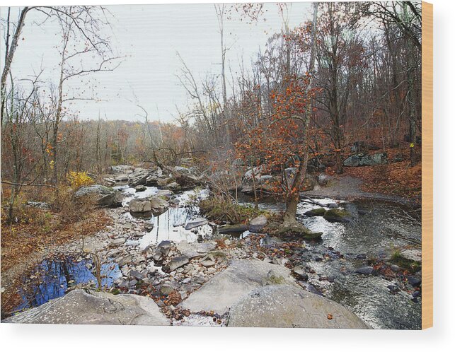 Creek Wood Print featuring the photograph Spare and Lovely - The Leaves Are Almost Gone by Carol Senske