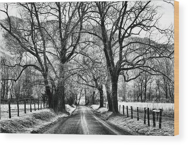 Cades Cove Wood Print featuring the photograph Sparks Lane During Winter by Carol Montoya