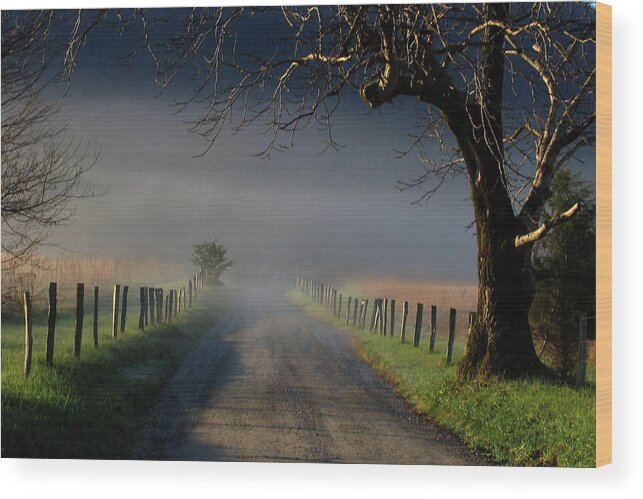 Lane Wood Print featuring the photograph Sparks Lane Sunrise II by Douglas Stucky