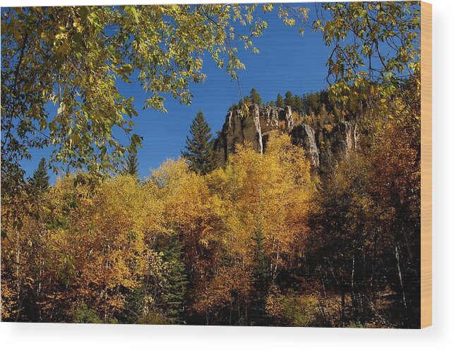 Spearfish Wood Print featuring the photograph Spearfish Canyon in Autumn Color by Greni Graph