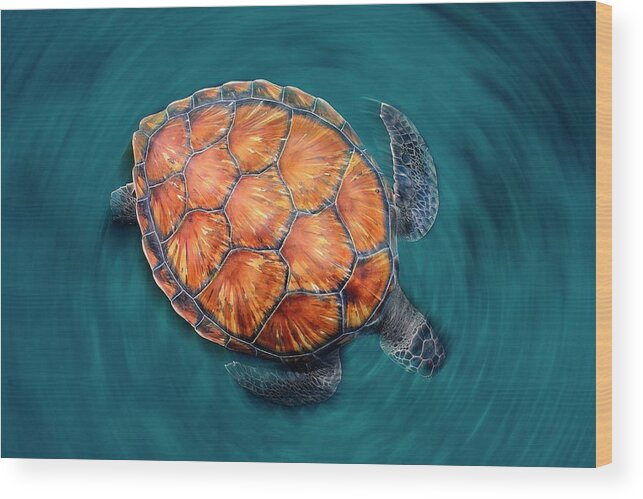 Turtle Wood Print featuring the photograph Spin Turtle by Sergi Garcia