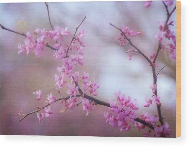 Pink Blossoms Wood Print featuring the photograph Splendor Of Spring 4 by Fraida Gutovich