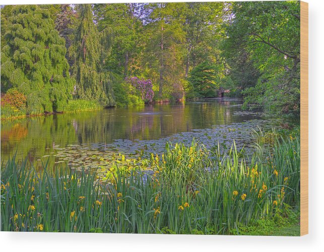 Mount Auburn Cemetery Wood Print featuring the photograph Spring Morning at Mount Auburn Cemetery by Ken Stampfer