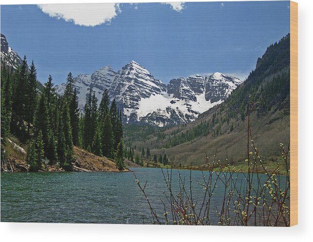 Maroon Bells Wood Print featuring the photograph Spring Bells by Jeremy Rhoades