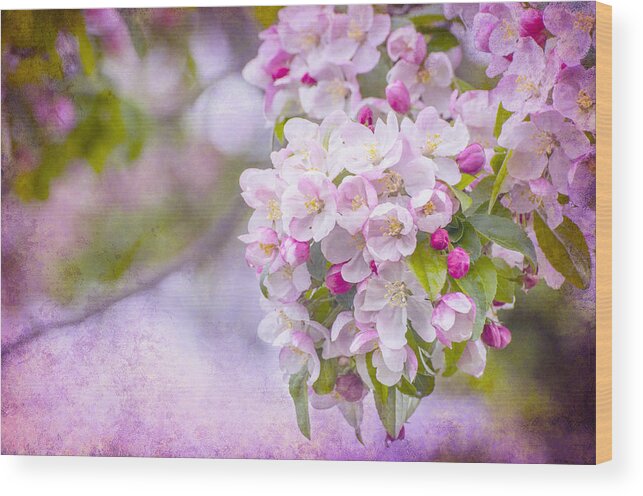 Pink Wood Print featuring the photograph Spring Blossoms by Cathy Kovarik