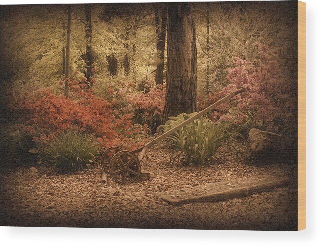 Lawn Mower Wood Print featuring the photograph Spring Garden by Sandy Keeton