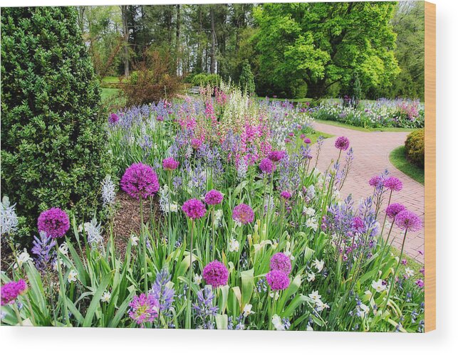 Flowers Wood Print featuring the photograph Spring Gardens by Trina Ansel
