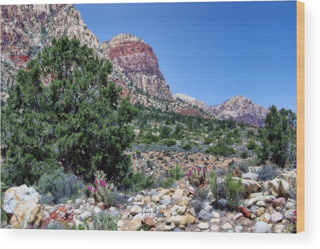 Desert Wood Print featuring the photograph Spring hike by Tammy Espino