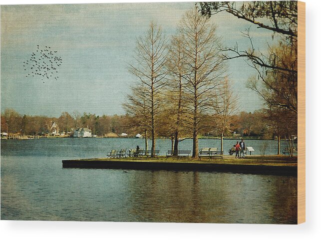 Park Wood Print featuring the photograph Spring In The Park by Cathy Kovarik