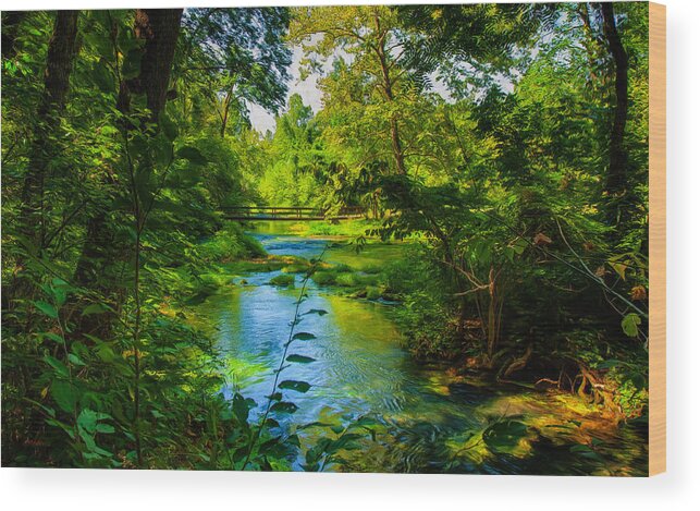 Landscape Wood Print featuring the photograph Spring of Wonderment by John M Bailey