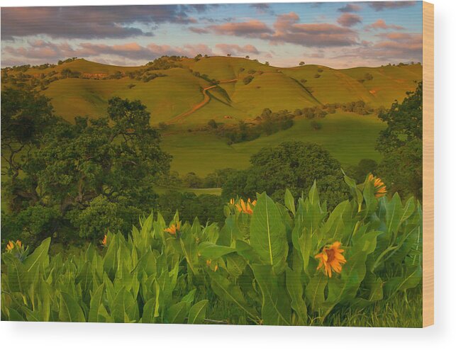 Landscape Wood Print featuring the photograph Spring Scene At Round Valley by Marc Crumpler