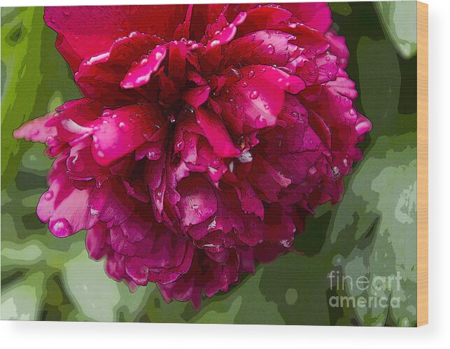 Spring Wood Print featuring the photograph Spring Shower Peony 2 by Jeanette French