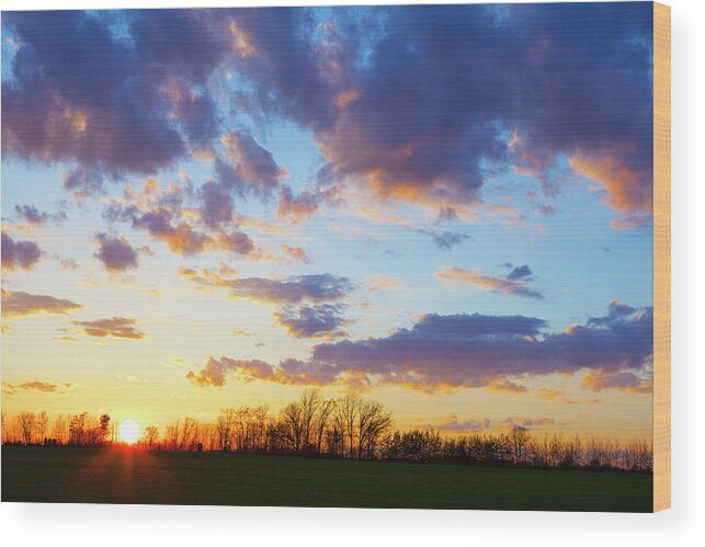 Purple Wood Print featuring the photograph Spring Sunset After Rain by Jamesbrey