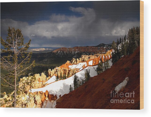 Bryce Canyon Wood Print featuring the photograph Squall Over The South RIm by Butch Lombardi