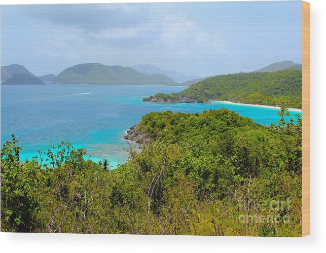 Baths Wood Print featuring the photograph St John Beaches by Carey Chen