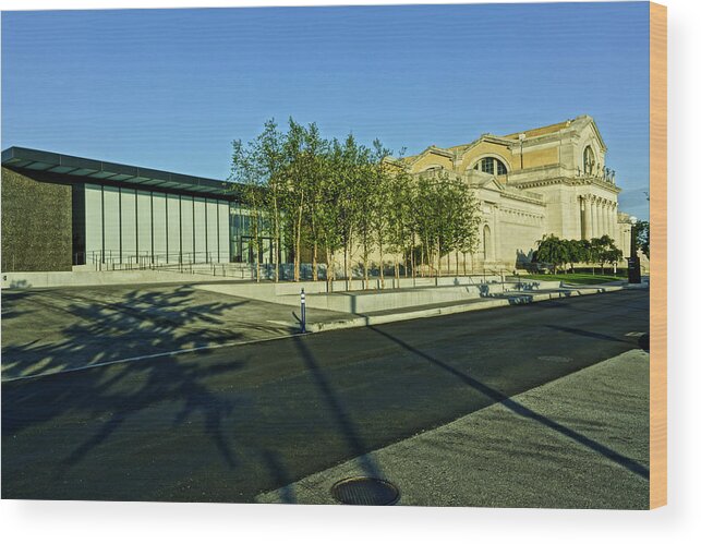 Art Museum New Addition Wood Print featuring the photograph St Louis Art Museum New and Old by Greg Kluempers