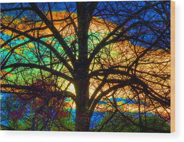 Stained Glass Tree Wood Print featuring the photograph Stained Glass Tree by Rob Huntley