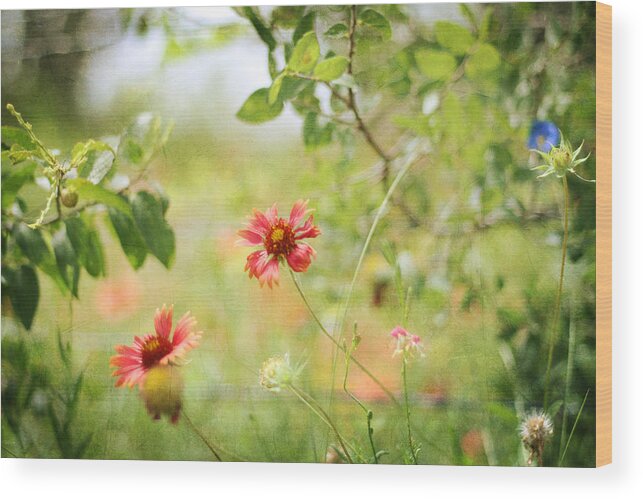 Floral Wood Print featuring the photograph Stand Out by Jeff Mize