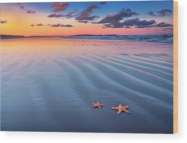 Scenics Wood Print featuring the photograph Starfish On Sand by Joe Regan