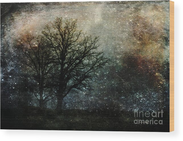 Trees Wood Print featuring the photograph Starry Night by Randi Grace Nilsberg