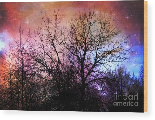 Bare Trees Wood Print featuring the photograph Starry Night by Sylvia Cook