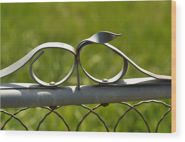 Fence Wood Print featuring the photograph Steel Fence Decor by Kae Cheatham