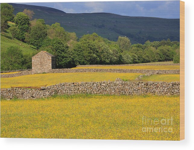 Stone Wood Print featuring the photograph Stone barn and dry stone walls in Swaledale in the Yorkshire Dales by Louise Heusinkveld