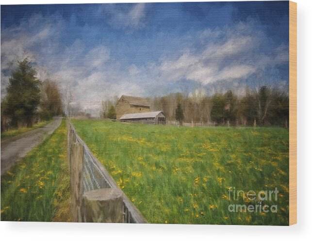 Barn Wood Print featuring the digital art Stone Barn On A Spring Morning by Lois Bryan
