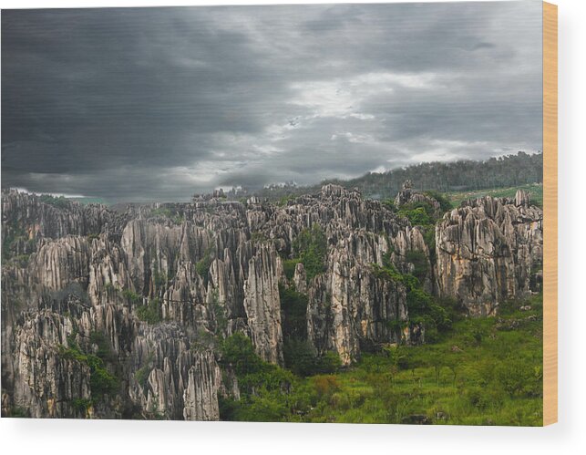 China Wood Print featuring the photograph Stone Forest by Robert Hebert