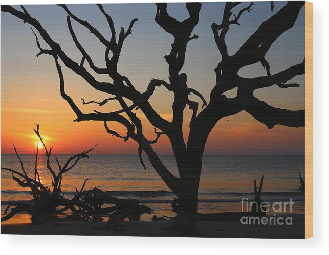  Jekyll Island Wood Print featuring the photograph Storm Skeletons by Marty Fancy