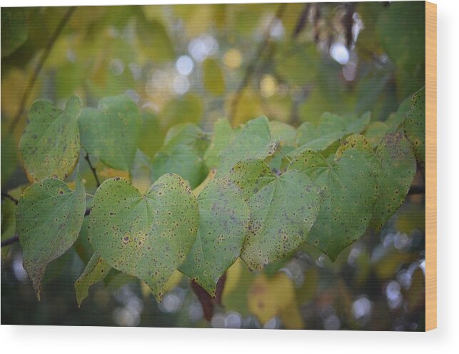 Stranded Hearts Of Autumn Wood Print featuring the photograph Stranded Hearts of Autumn by Maria Urso