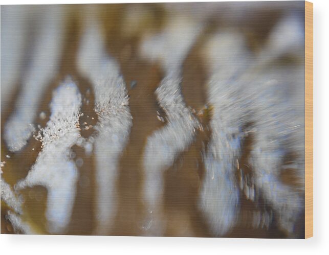 Sand Wood Print featuring the photograph Stripes in the Tide Pool 2 by Scott Campbell