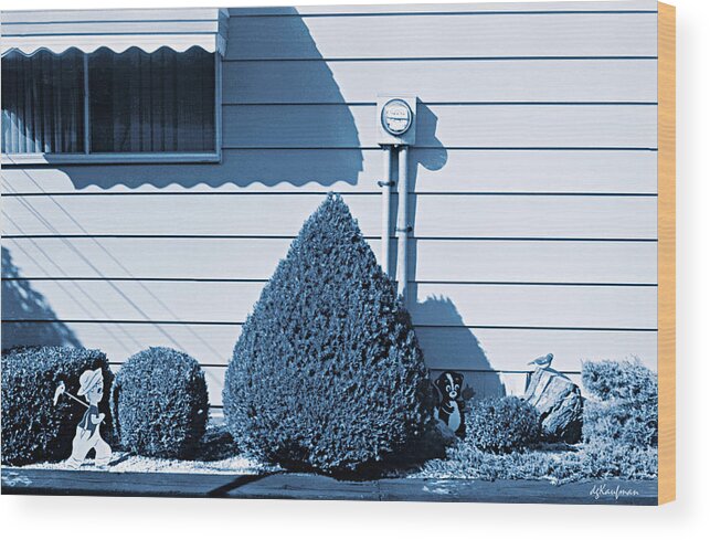 Suburban Garden Wood Print featuring the photograph Suburban Garden No. 3 by Dolores Kaufman