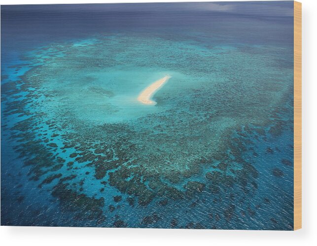 Great Barrier Reef Wood Print featuring the photograph Sudbury Cay by Debbie Cundy