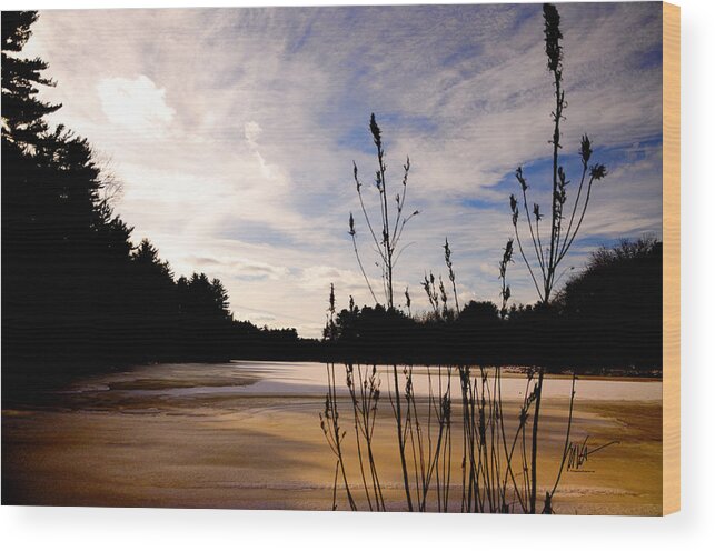 Sudbury Wood Print featuring the photograph Sudbury Grist Mill Pond Winter Light by Mark Valentine