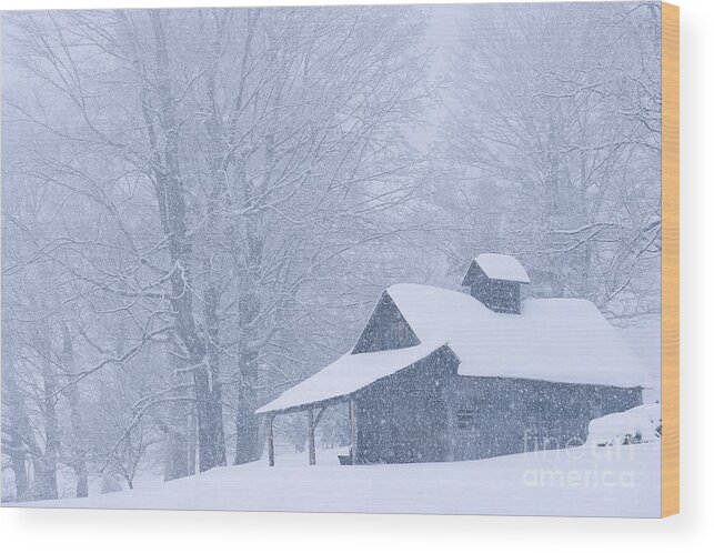 Winter Wood Print featuring the photograph Sugarhouse Snowfall by Alan L Graham