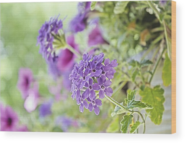 Flowers Wood Print featuring the photograph Summer Bouquet by Barbara Dean