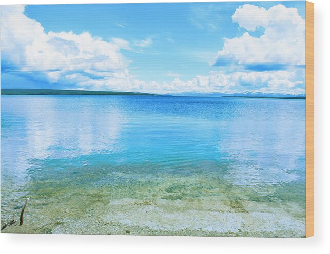 Nature Wood Print featuring the photograph Summer Breeze by Cami Amick
