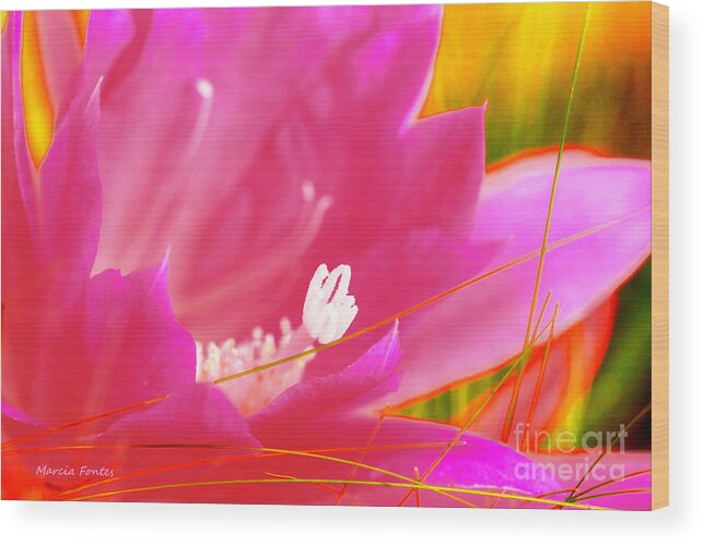 Summer Wood Print featuring the photograph Summer Cactus Bloom by Tap On Photo