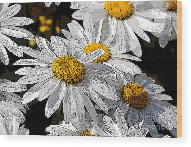 Daisies Wood Print featuring the photograph Summer Daisies by Sarah Schroder