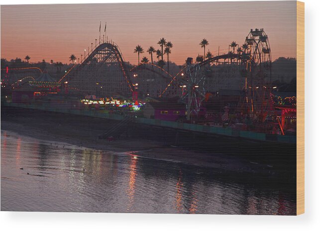 Amusement Park Wood Print featuring the photograph Summer Fun 9195 by Tom Kelly