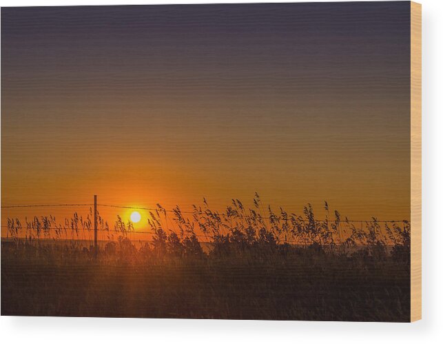 Dakota Wood Print featuring the photograph Summer Sunrise on the Plains by Greni Graph
