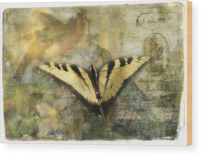 Butterflies Wood Print featuring the photograph Summer Visitors by Melinda Dreyer