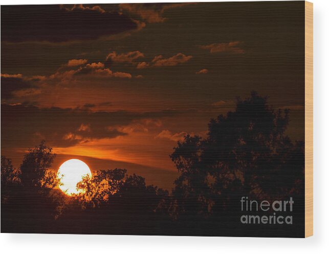 Sun Wood Print featuring the photograph Sun cradle... by Dan Hefle