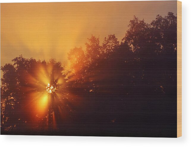 Sunrise Wood Print featuring the photograph Sun Fog Trees-1 by Steve Somerville