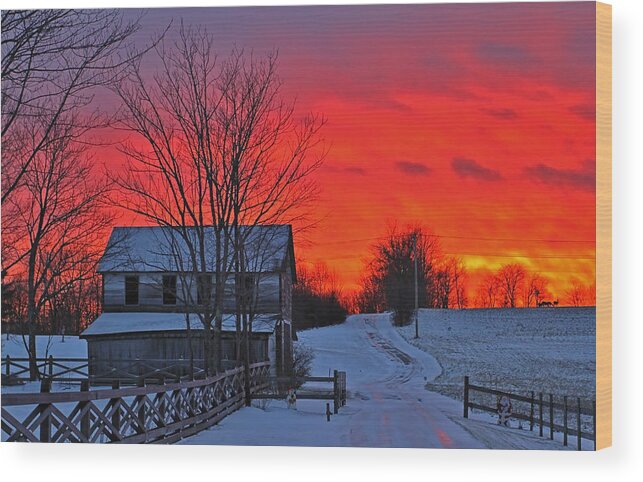 Winter Wood Print featuring the photograph Deer Grazes At Sunset by William Rockwell