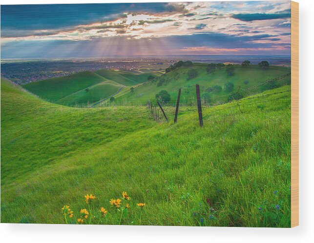 Landscape Wood Print featuring the photograph Sun Rays And Green Hillside by Marc Crumpler