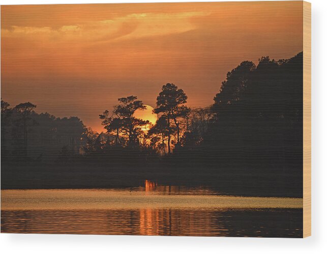Sunset Wood Print featuring the photograph Sun Setting in Trees by Bill Swartwout