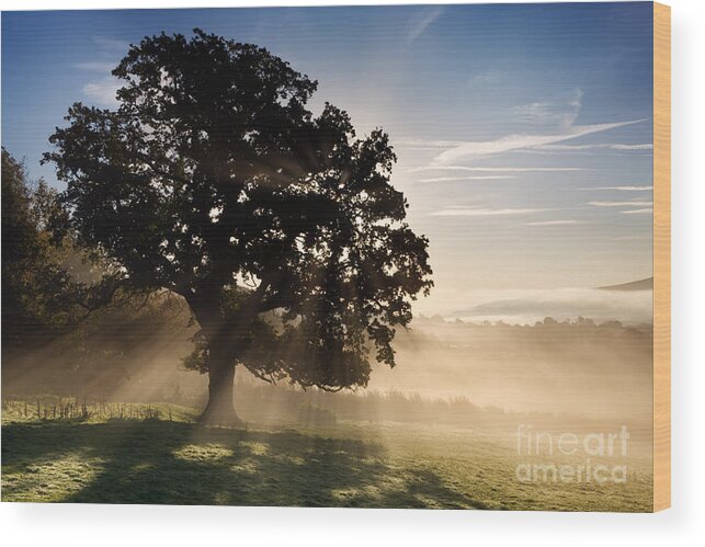 Landscape Wood Print featuring the photograph Misty Dawn by Rod McLean